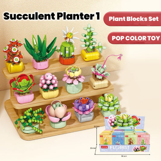 Plant Blocks(choose chip color)