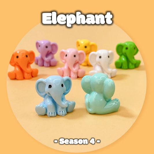 Elephant- Season 4